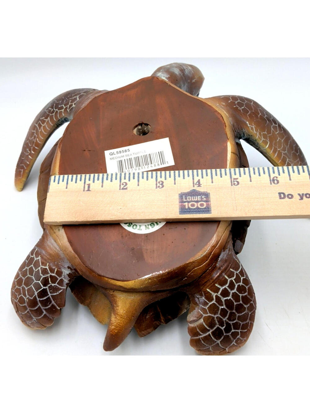 Design Toscano Blue Turquoise Aqua Sea Turtle Medium - Polyresin - 12" x 7" NEW - Picture 14 of 15